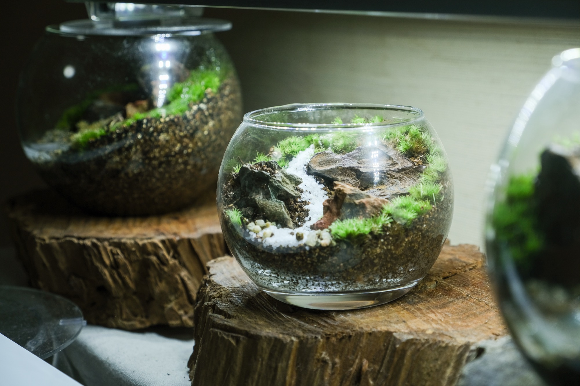 ひょうご北摂エリアの風景5